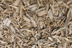 biomass boilers Biddestone