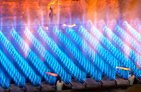 Biddestone gas fired boilers